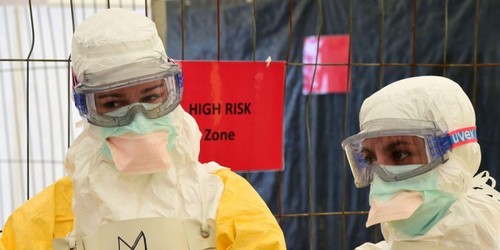 Des signes positifs dans la lutte contre le virus Ebola - ảnh 1